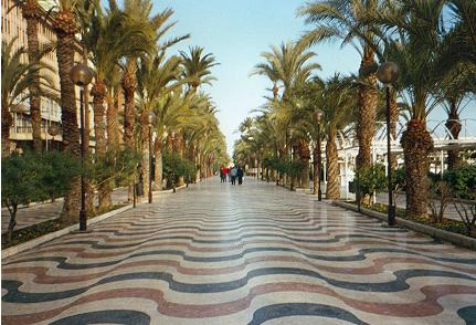 ALICANTE PALMERAS CRUCEROS ALICANTE ESPAÑA 